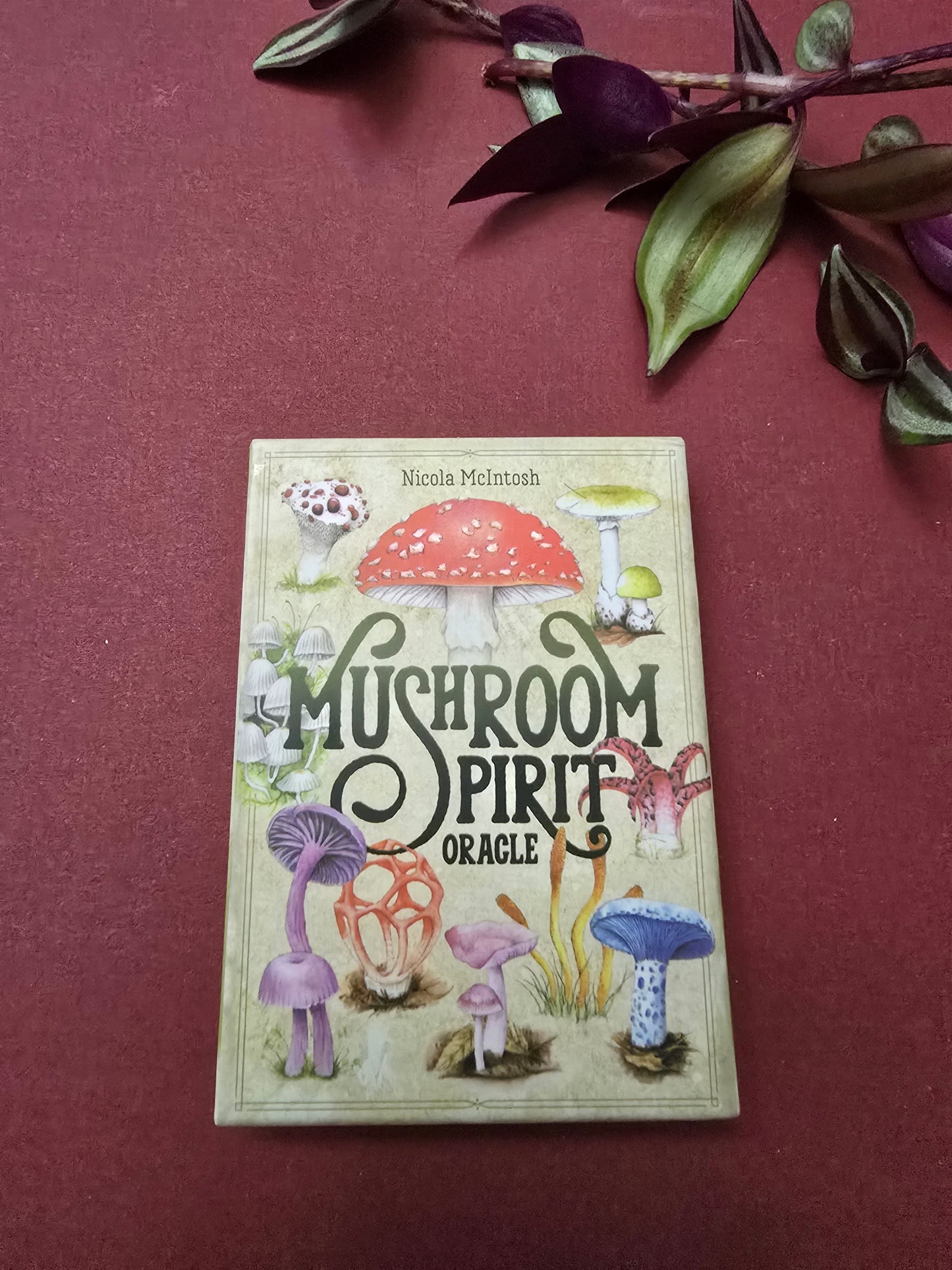 Mushroom Spirit Oracle