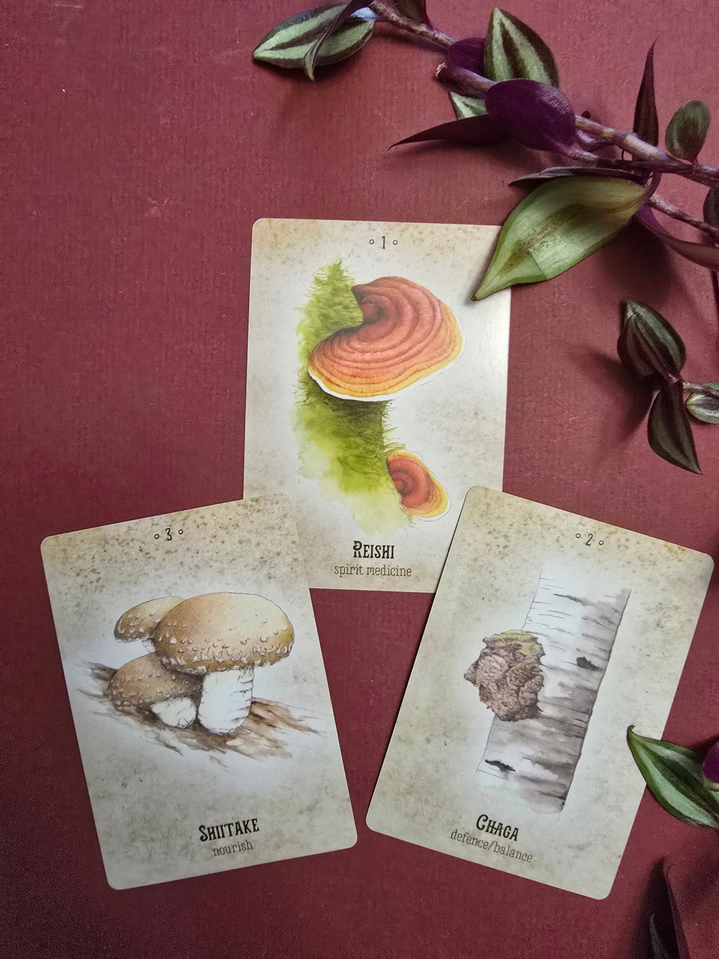 Mushroom Spirit Oracle