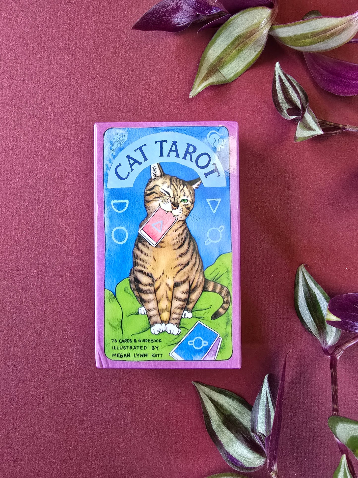 Cat Tarot