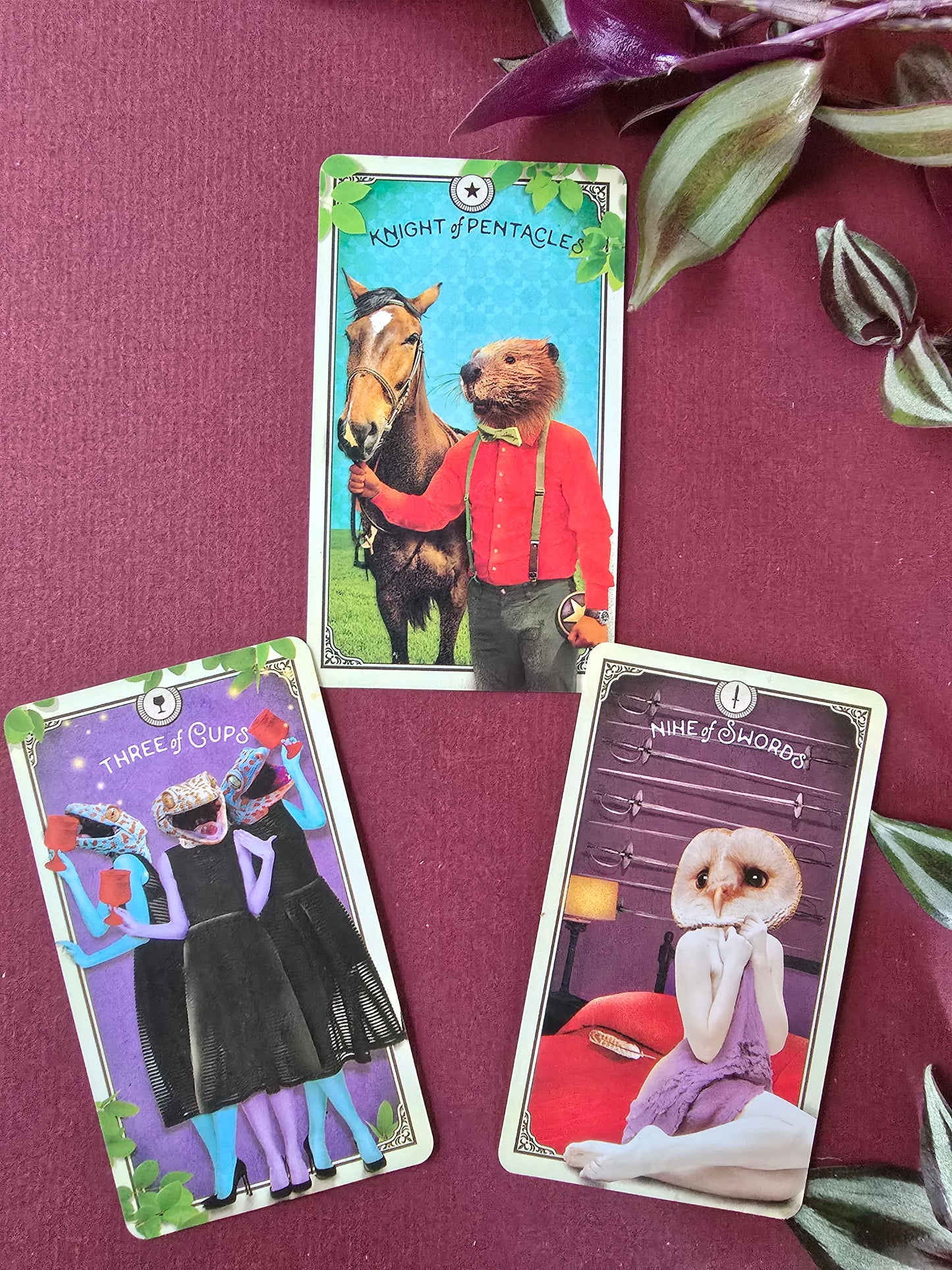 The Tarot of Curious Creatures