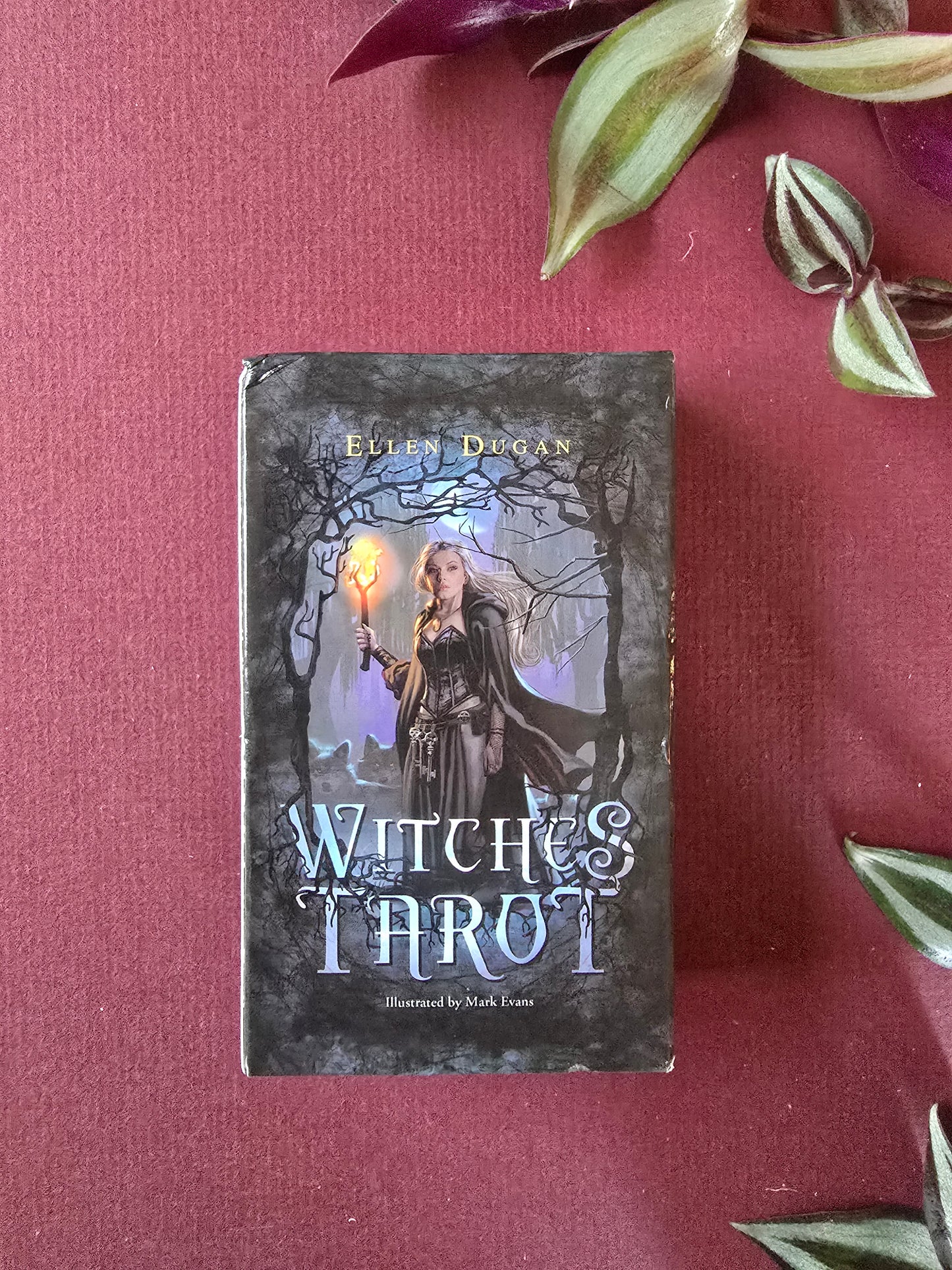 The Witches Tarot
