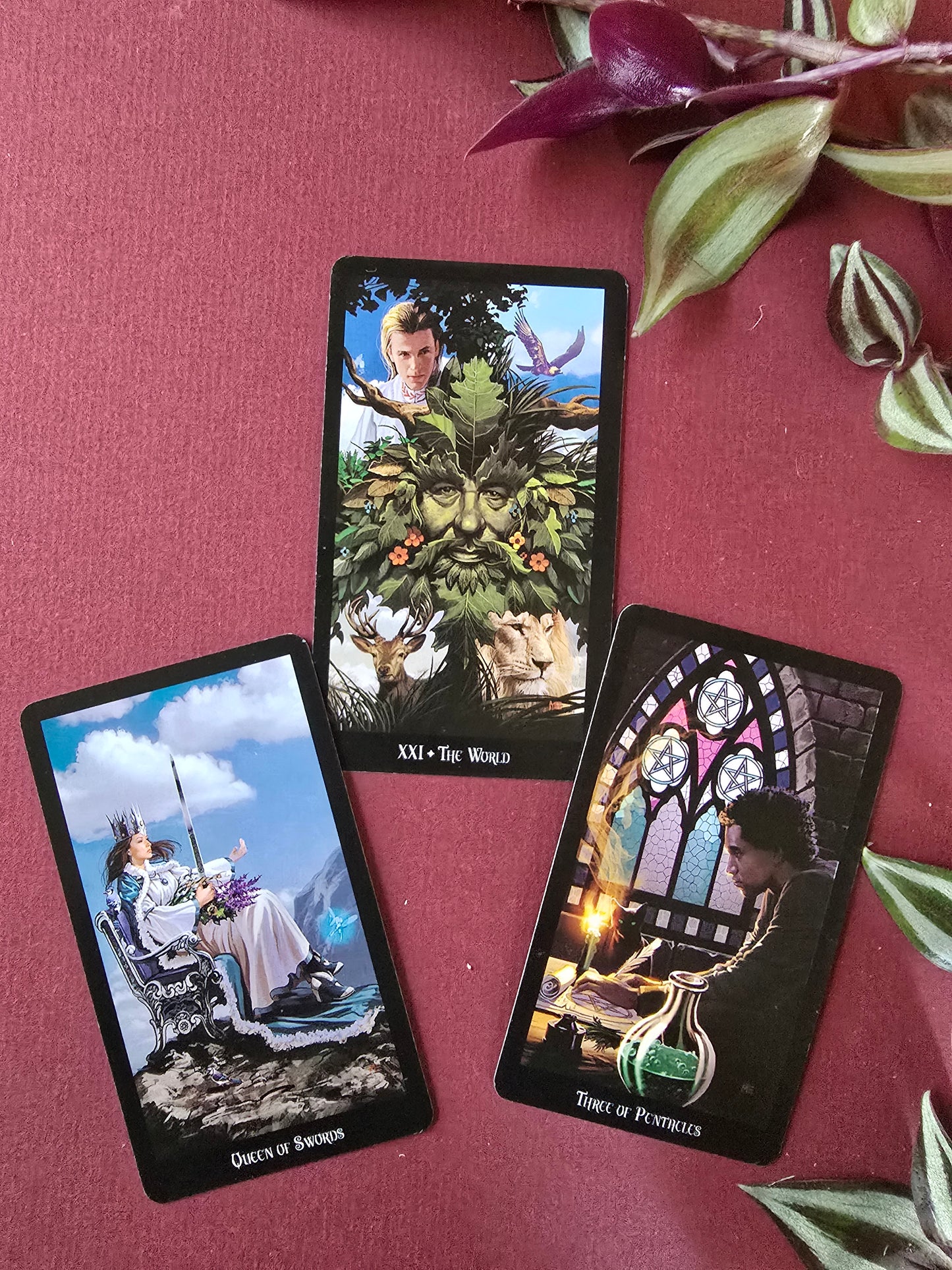 The Witches Tarot