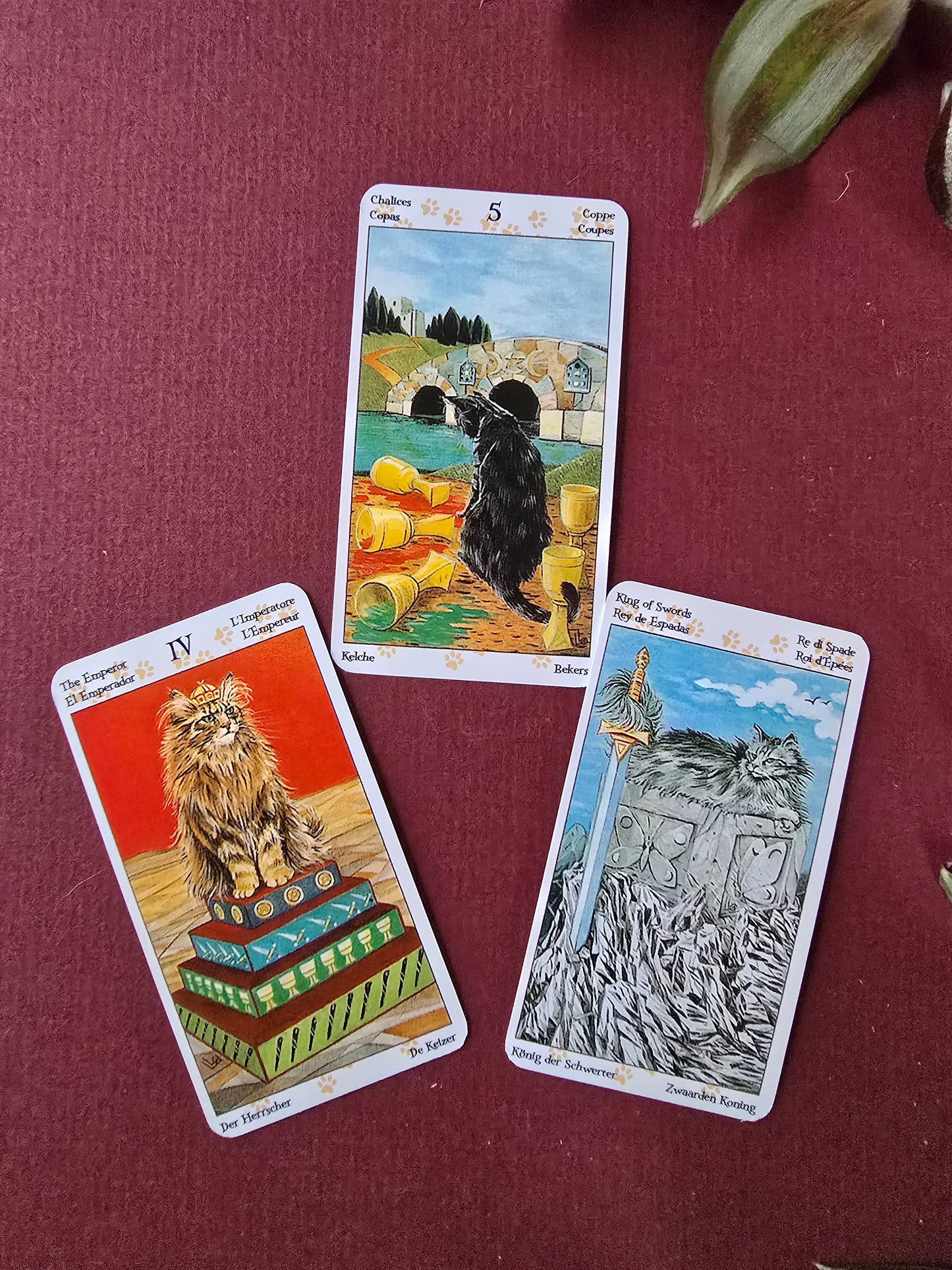 Tarot of Pagan Cats Pocket Deck