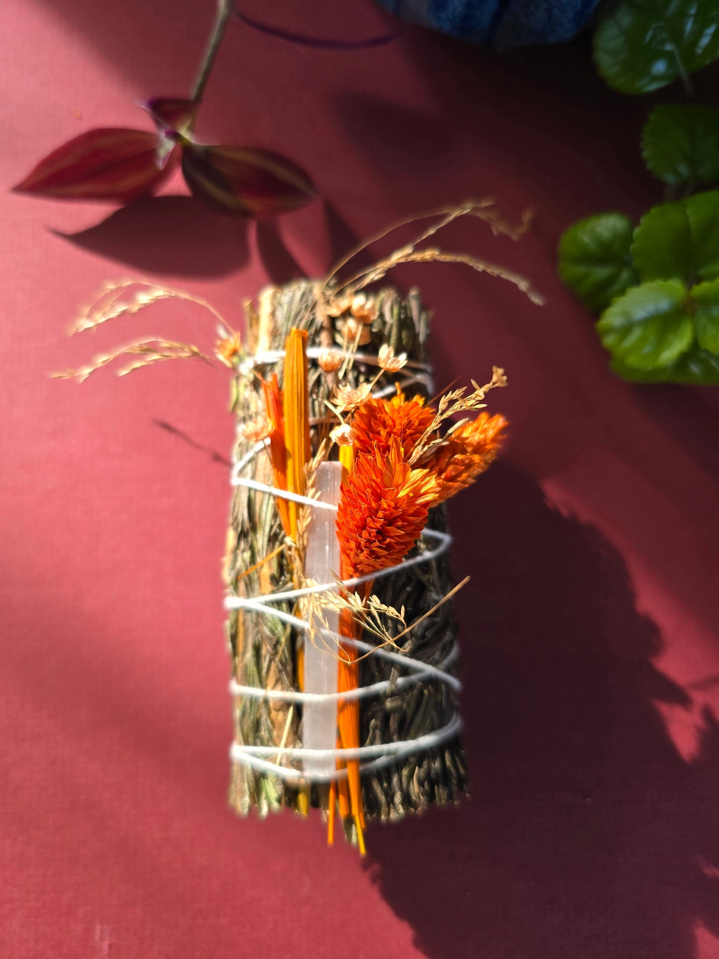 Cedar Sage