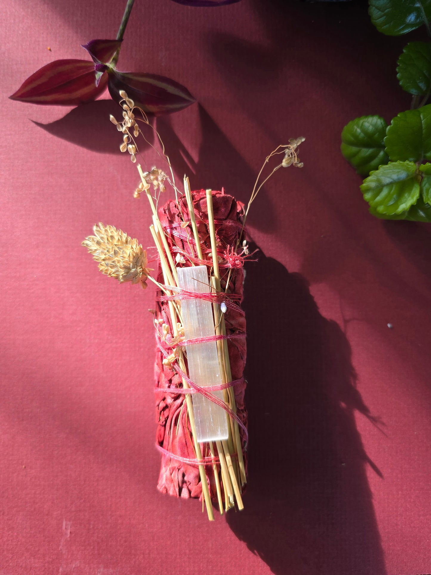 Dragons Blood Sage