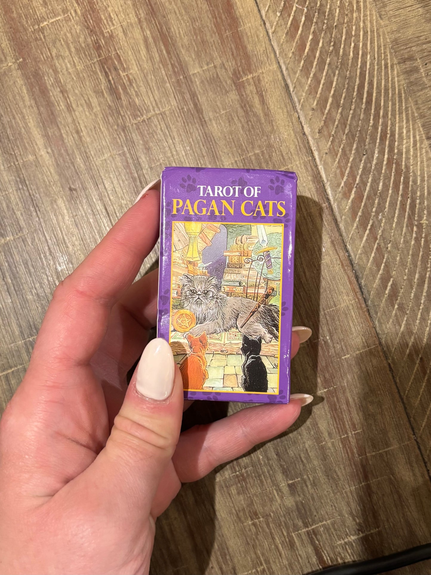 Tarot of Pagan Cats Pocket Deck