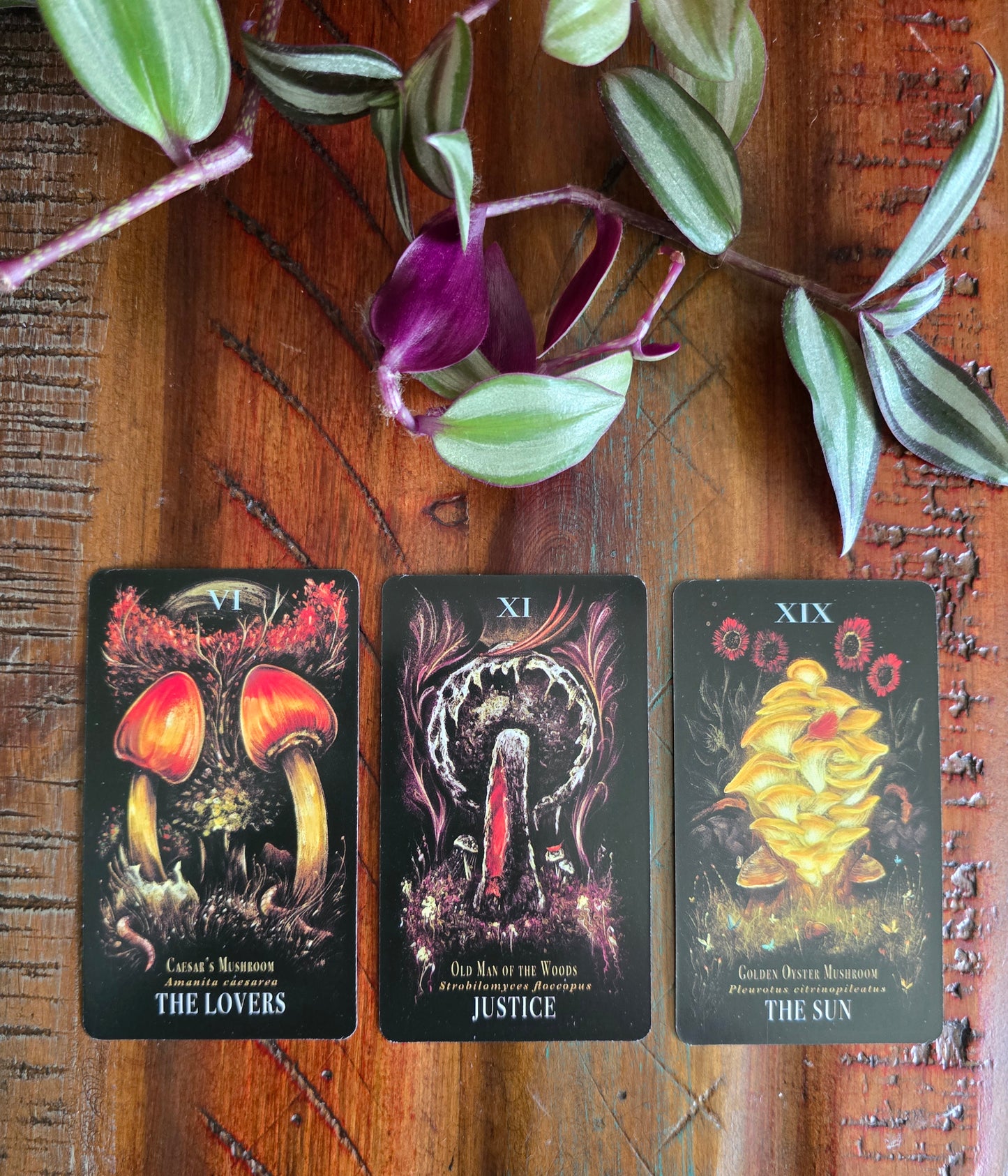 Midnight Magic Tarot