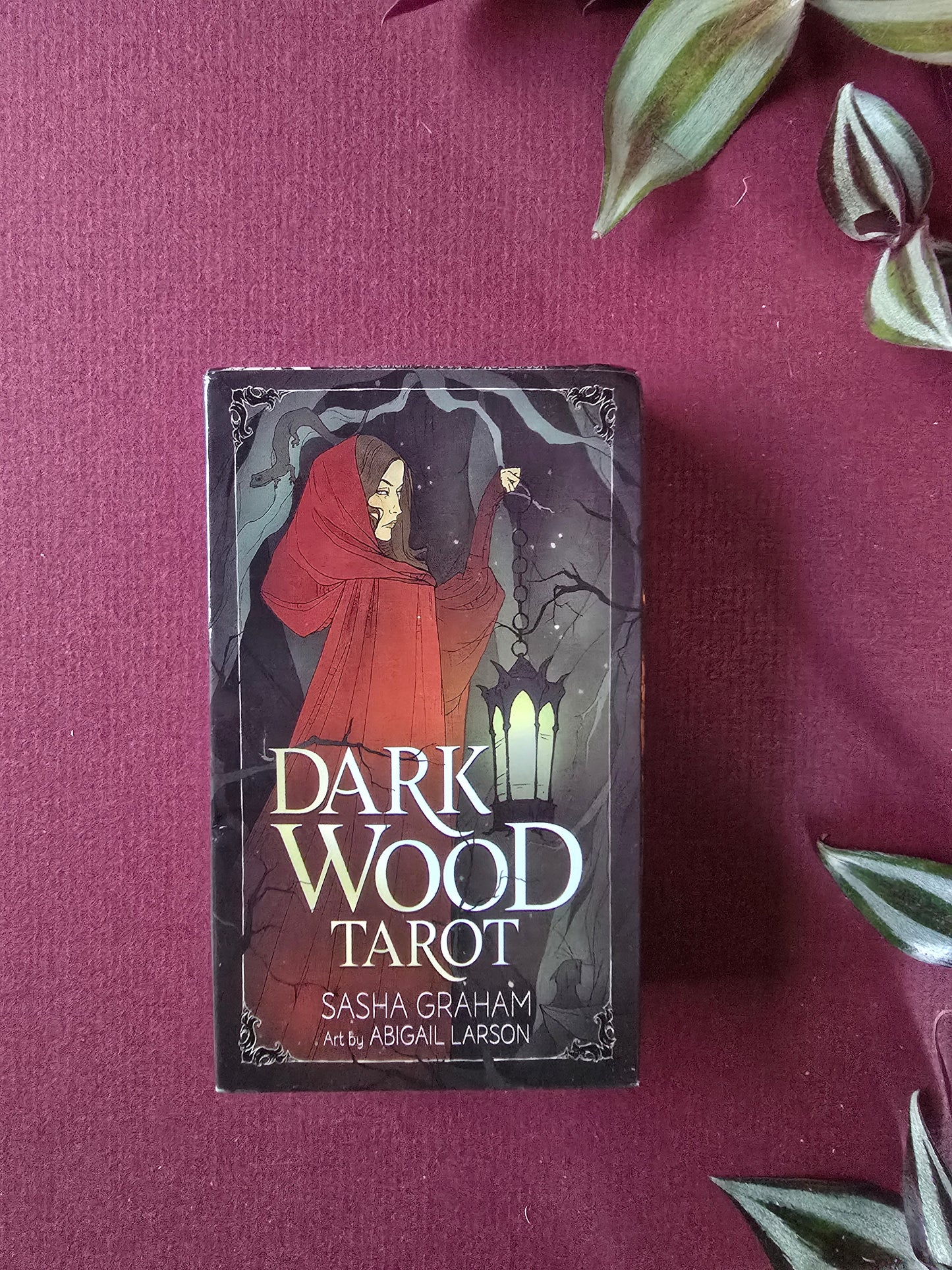 Dark Wood Tarot
