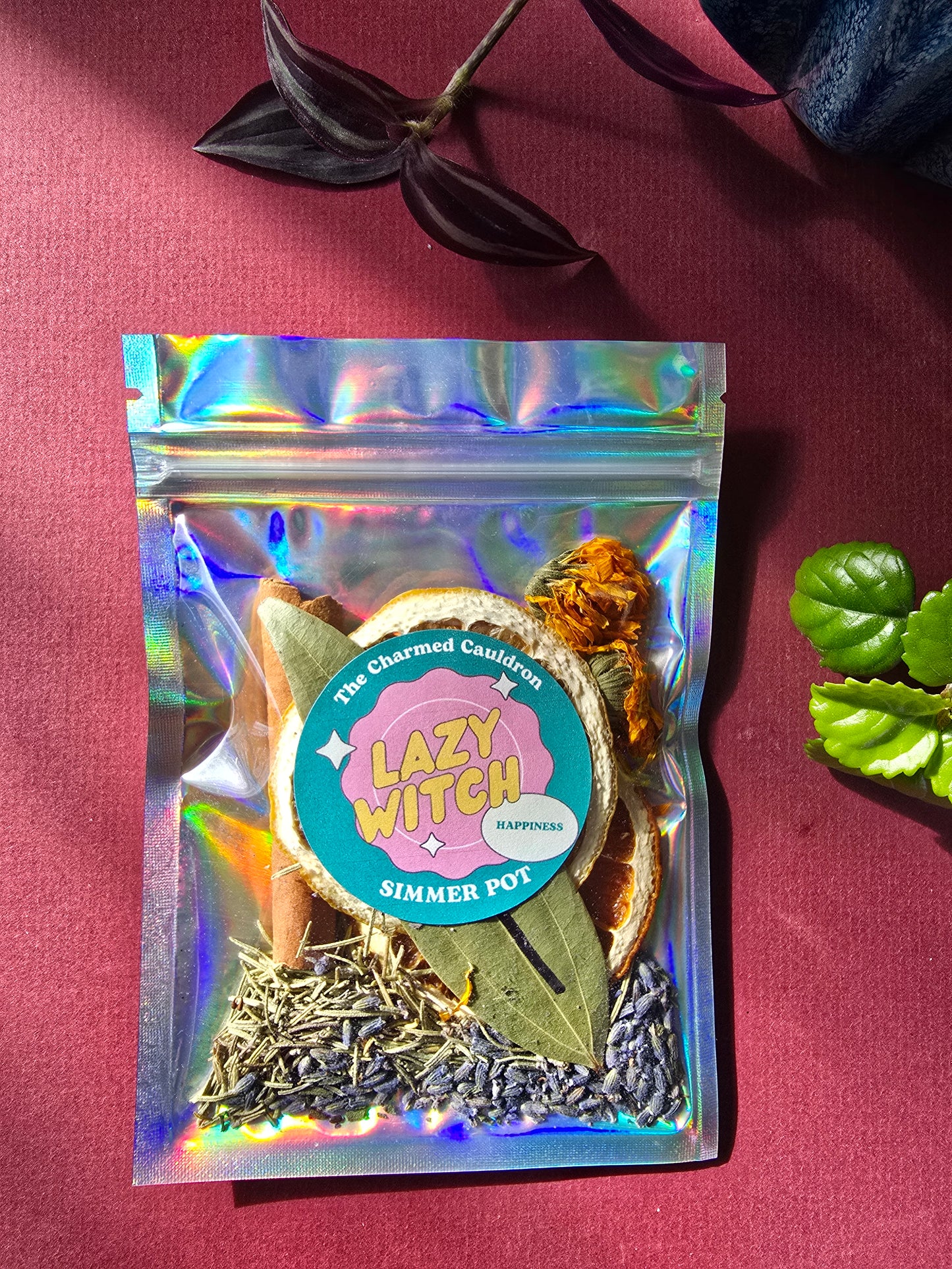 Lazy Witch Happiness Simmer Pot