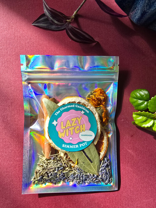 Lazy Witch Happiness Simmer Pot