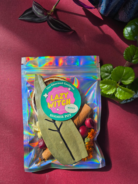 Lazy Witch Money Simmer Pot