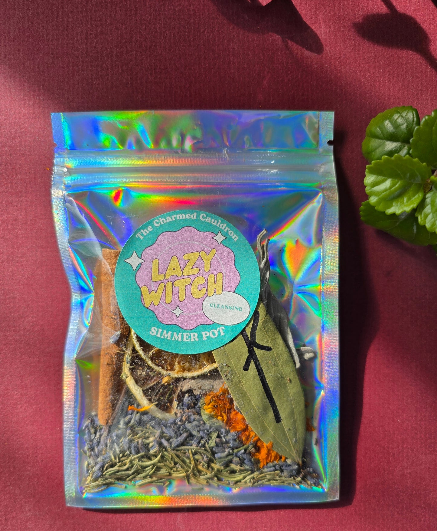 Lazy Witch Cleansing Simmer Pot