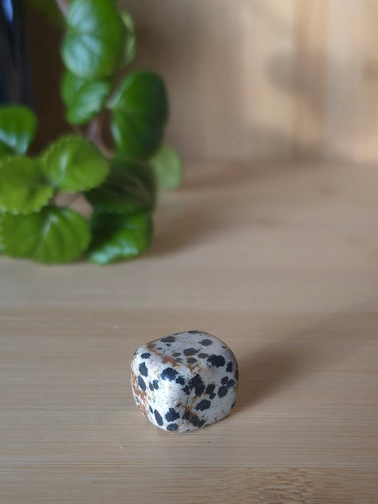 Dalmatian Jasper Crystal- Cube