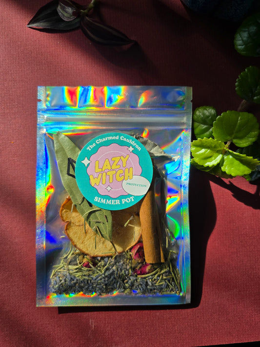 Lazy Witch Protection Simmer Pot