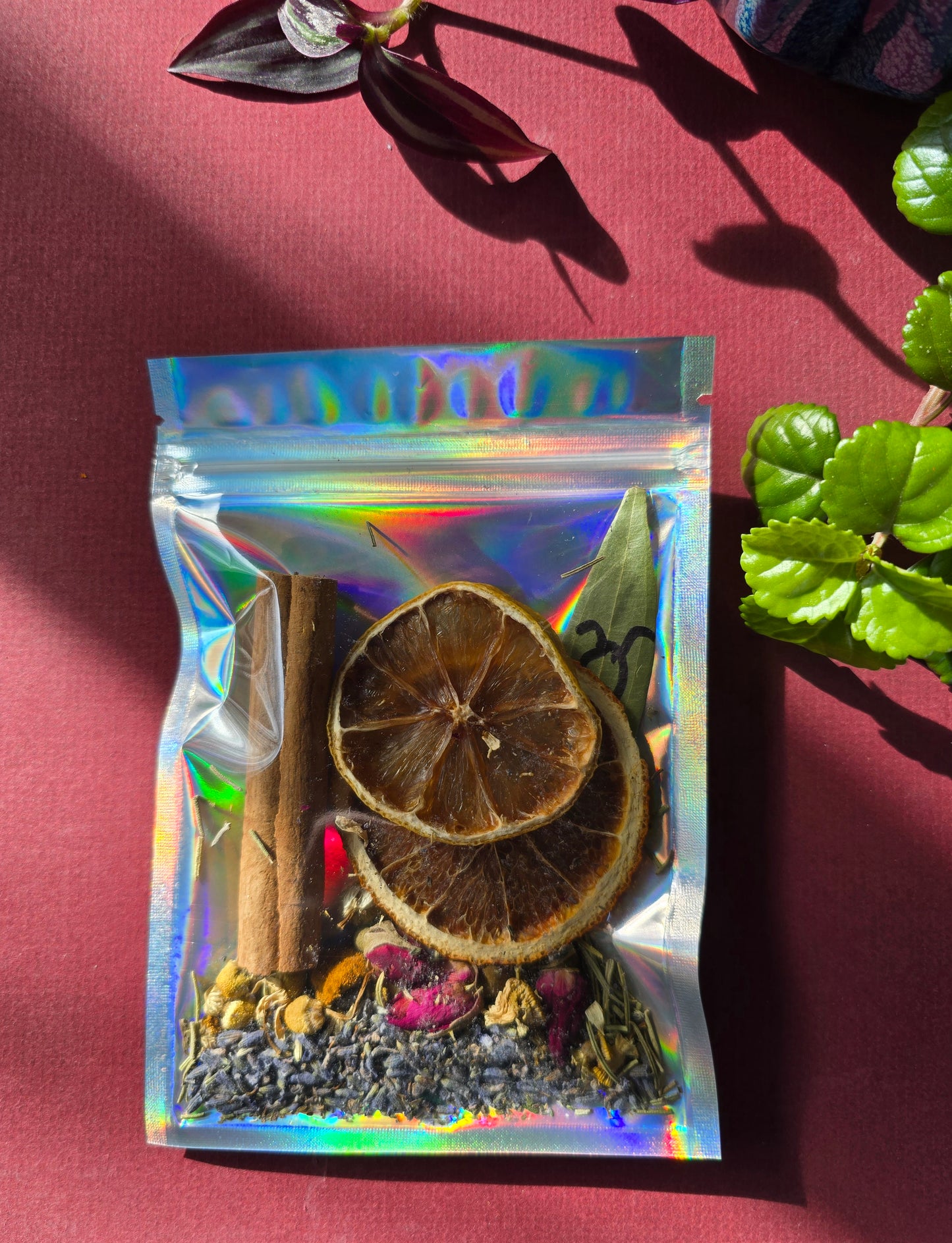 Lazy Witch Spring Equinox Simmer Pot